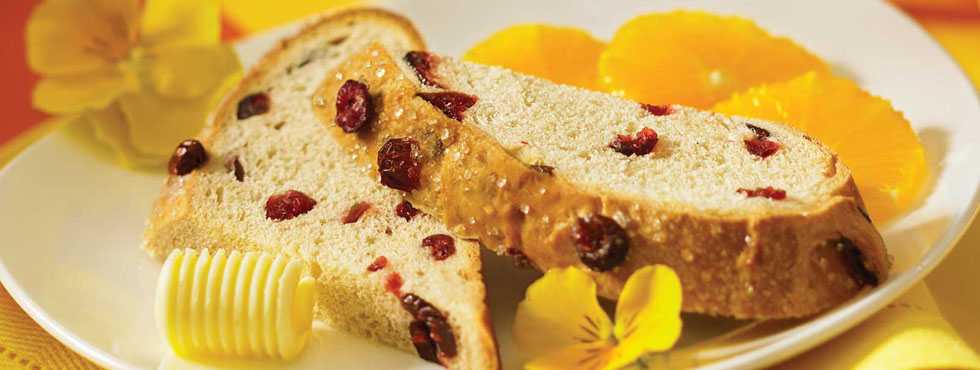 Cranberry Focaccia | Recipes