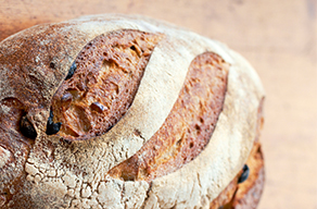 Why is My Bread Coarse and Crumbly?